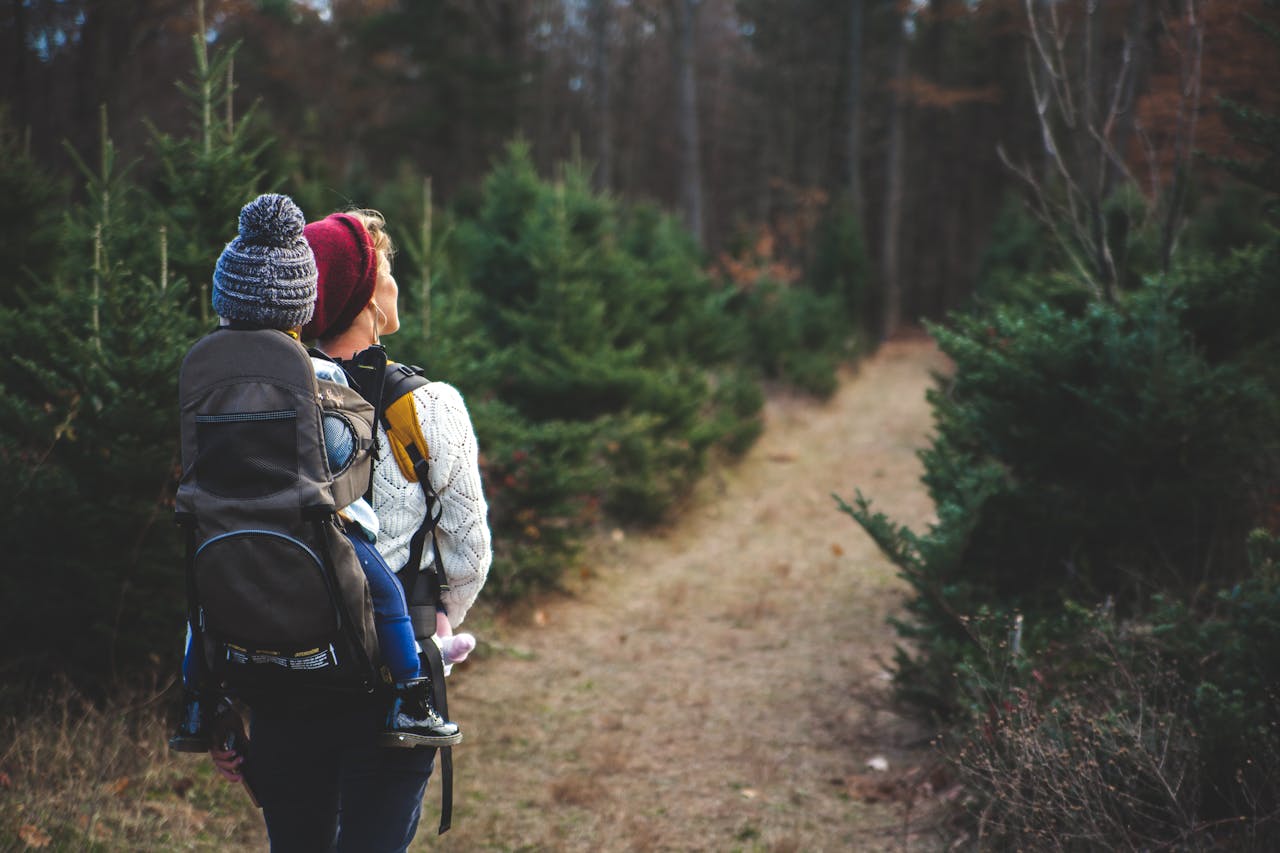 You are currently viewing Best Baby Carrier For Hiking 2024